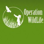 Link to Operation Wildlife Website