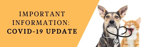 Important Information Covid-19 UPdate